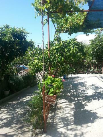 Apartamento Pavlinovic Jure Makarska Exterior foto
