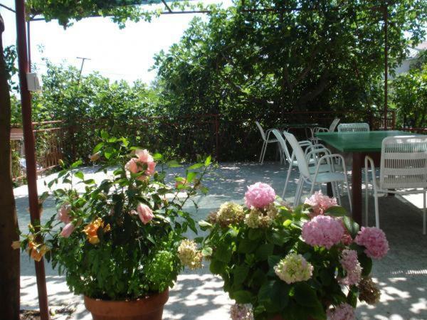 Apartamento Pavlinovic Jure Makarska Exterior foto
